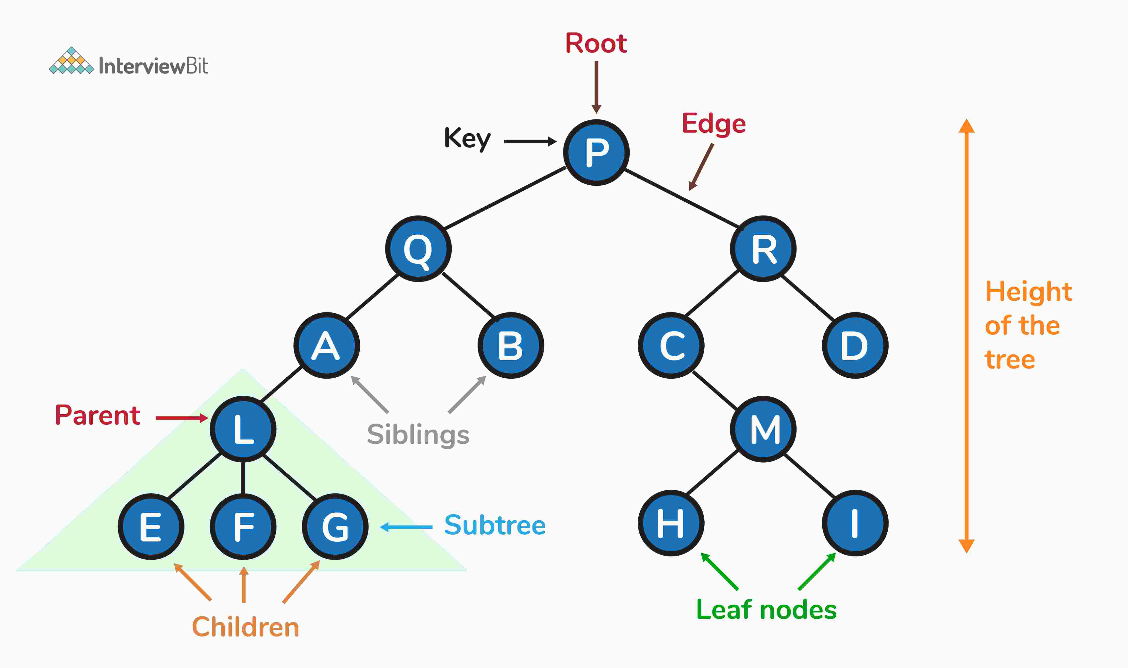 Cấu trúc dữ liệu cây là gì?